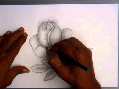 How to draw flower and 3D flower