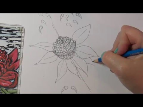 How to Draw Flowers ~ How to Draw a Waratah
