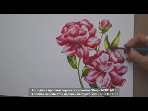 How to draw flowers.Watercolor painting