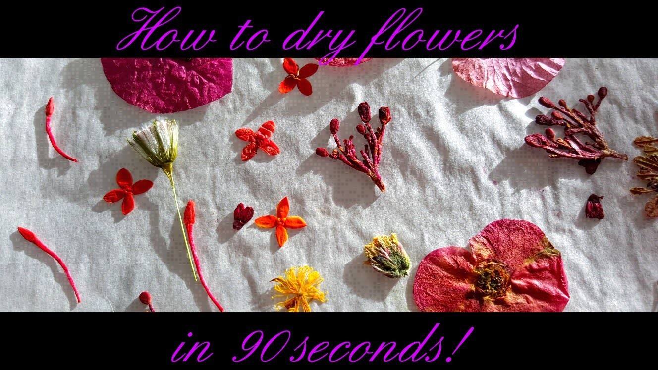 How to dry flowers in 90 seconds!