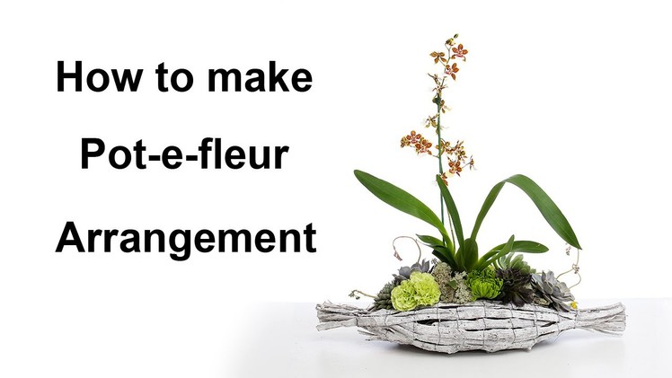 How to make a Pot-e-fleur arrangement - featuring orchid and succulent -