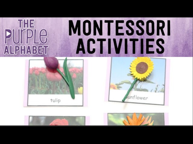 How to Use Montessori 3 Part Lesson and Cards