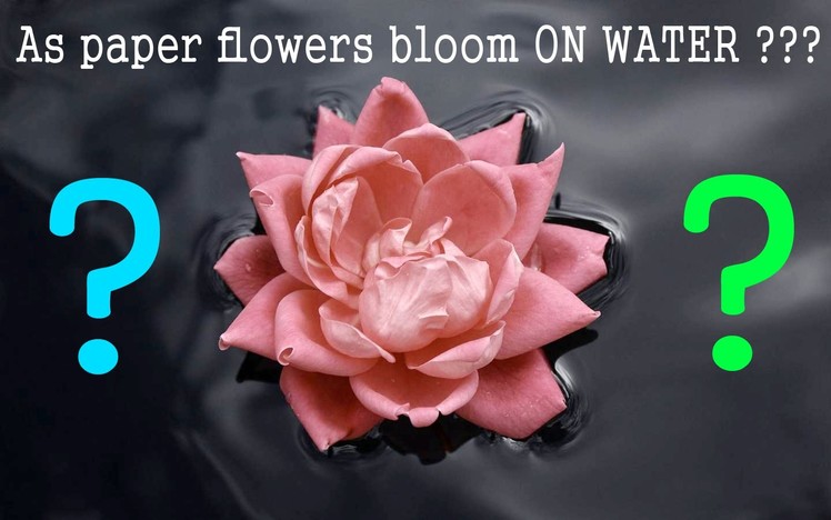 As paper flowers bloom ON WATER ???