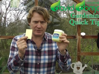 Homemade Fly Paper - David Domoney's Gardening Quick Tips.