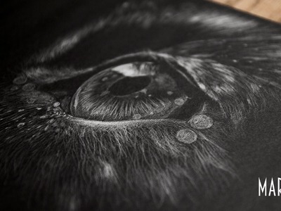 Speed drawing: Wolf eye (Black paper) [Maringa]