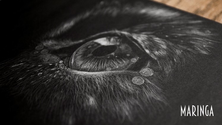 Speed drawing: Wolf eye (Black paper) [Maringa]