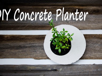 DIY Concrete. Cement Planter