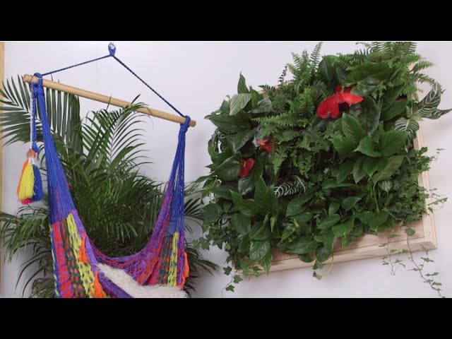 DIY Indoor Plant Wall | Eye on Design