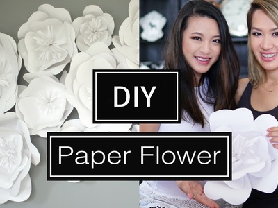 DIY Paper Flower BackDrop | ANN LE & FrmHeadtoToe