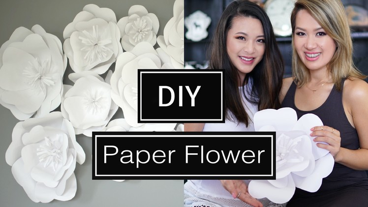 DIY Paper Flower BackDrop | ANN LE & FrmHeadtoToe