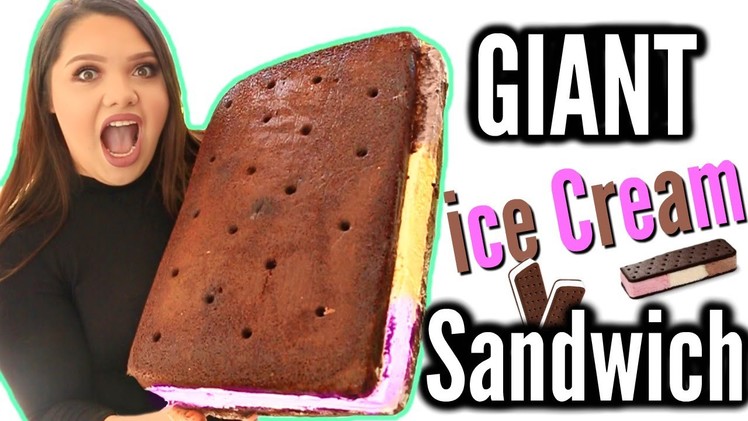 World's Biggest Giant Ice Cream Sandwich! DIY Yummy Summer Life Hack!