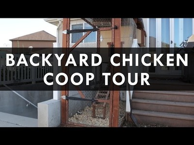 Backyard Chicken Coop Tour - The easy way to feed and clean.