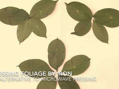 Instant Flower Press by Iron Drying Pressing Leaves Plants Herbs Flowers • by GemFOX