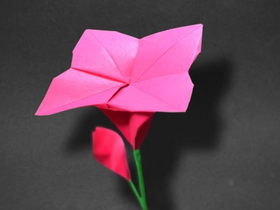 Origami: Spiral Flower ( Wellington W ) - Instructions in English ( BR )