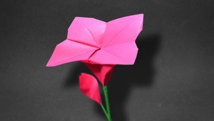 Origami: Spiral Flower ( Wellington W ) - Instructions in English ( BR )