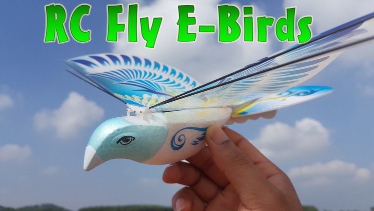 RC Fly E-Birds Airplane