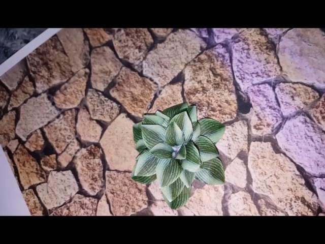 DIY Miniature Hosta Plants for your dollhouse