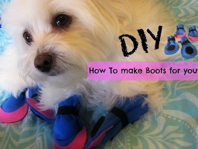 How to make boots for dogs, DIY, NO SEWING, Coton de tulear I Lorentix