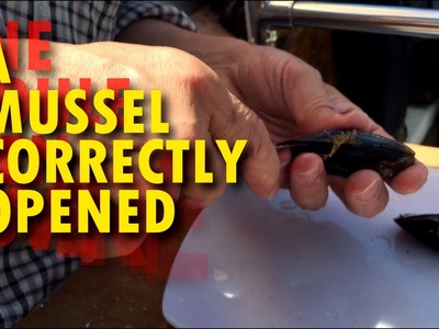 How to open a mussel easily | ★ | Germaine bricole | DIY