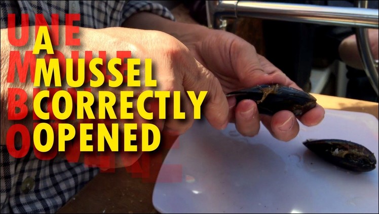 How to open a mussel easily | ★ | Germaine bricole | DIY