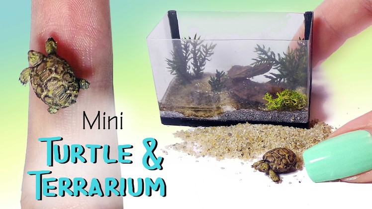 Miniature Turtle & Terrarium Tutorial. Dolls.Dollhouse