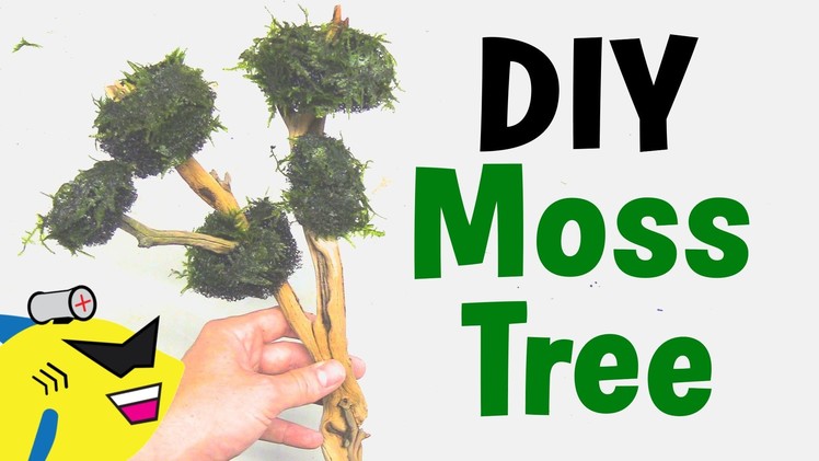 How To Make: DIY Moss Tree for Aquarium - X-mas Moss Tree
