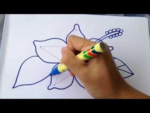 LEARN HOW TO DRAW BEAUTIFUL HIBISCUS FLOWER