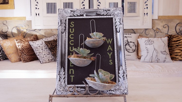 How make a Succulent Plant Picture Frame