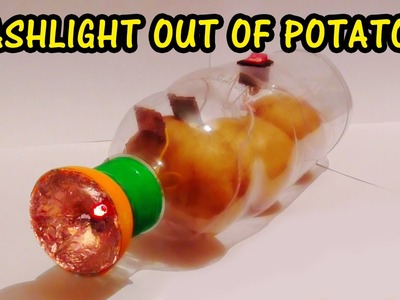 How to make a Flashlight out of Potatoes | Elena Mits