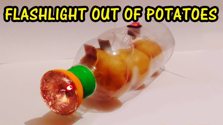 How to make a Flashlight out of Potatoes | Elena Mits