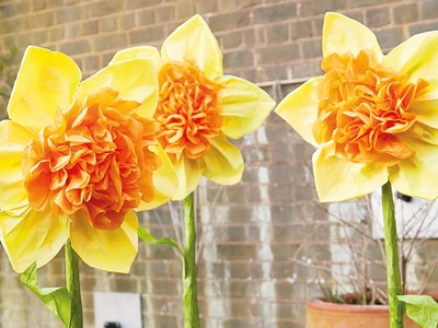 How to make a Tissue Paper Daffodil with Juliet Carr