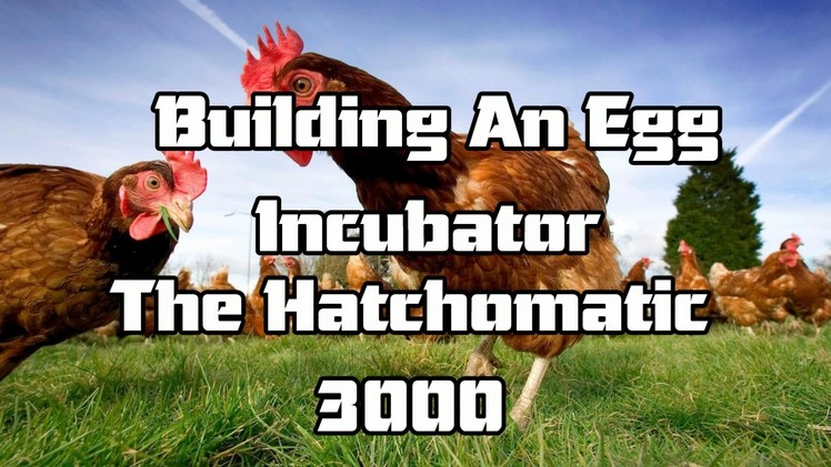 How To Make An Egg Incubator for less than £20