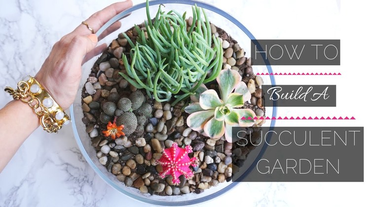 How To Build A Mini Succulent Garden