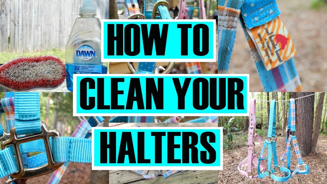 How to Clean Your Halters || simplyequine27