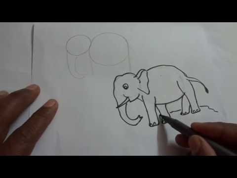 How to draw an elephant for beginners, children in easy steps
