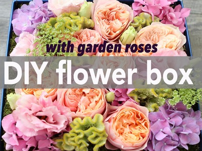 How to make a flower box with salmon garden roses