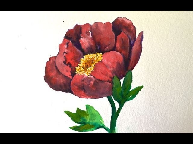 How to paint a Peony flower with watercolor, step by step tutorial