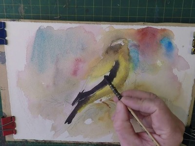 How to paint birds in watercolour