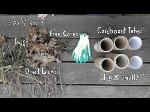 How to build a Bug Hotel - Wildlife Connections