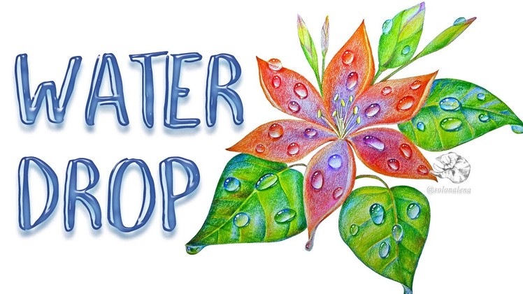 How to Draw a Flower with Water Droplets or Dew | Colored Pencil Techniques