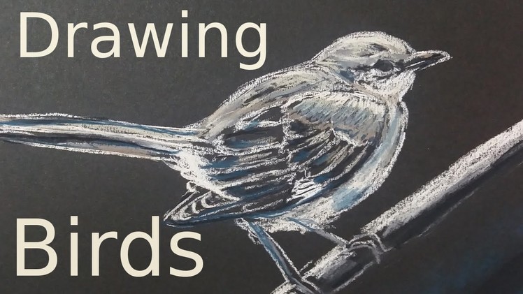How to Draw a Mockingbird with Grey Hard Pastels LYRA (Time Lapse) #howtodraw