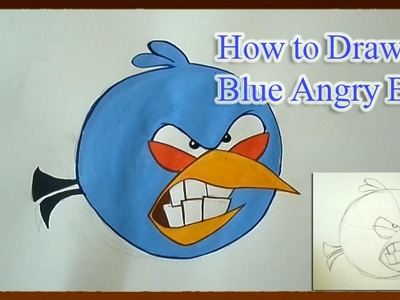 How to Draw Blue Angry Bird Step by Step