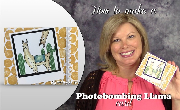 How to make a Photobombing Llama card featuring Stampin Up Birthday Fiesta Stamps