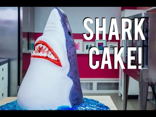 How To Make A SHARK CAKE! Chomp down on CHOCOLATE CAKE for SHARK WEEK!