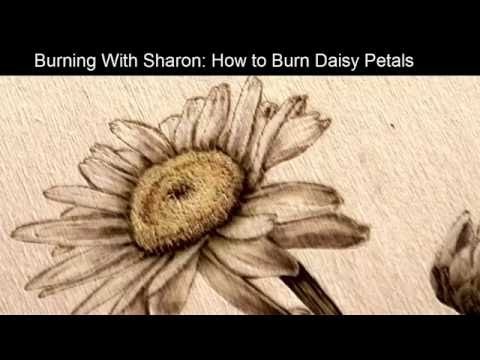 Pyrography: How to Woodburn a Daisy