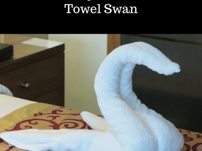 Towel Art - How to make a swan (Wordless video )