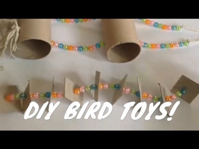 DIY BIRD TOYS!