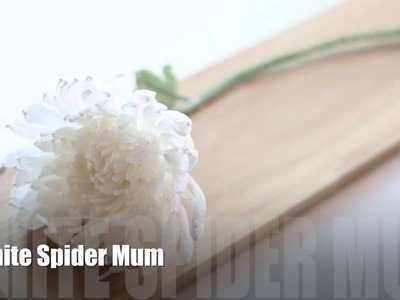 [FREE Tutorial]Crepe Paper Flower : White Spider Mum[EASY&SIMPLE]