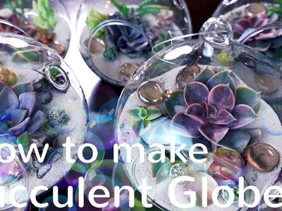 How to make Succulent Globes. Terrariums