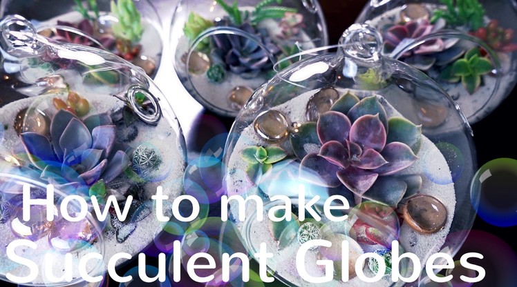 How to make Succulent Globes. Terrariums